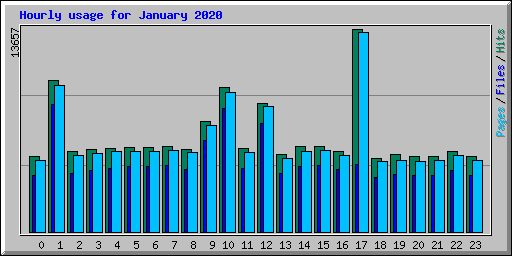 Hourly usage for January 2020