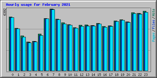 Hourly usage for February 2021