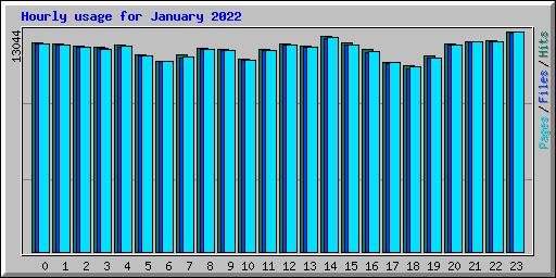 Hourly usage for January 2022