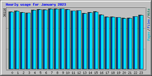 Hourly usage for January 2023